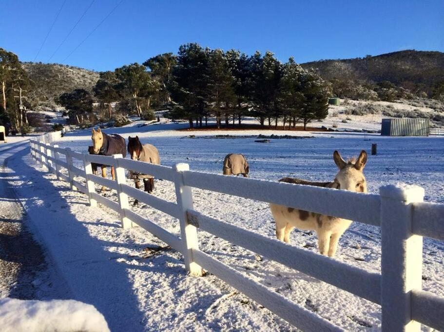 雪河小屋 贝瑞黛尔 外观 照片